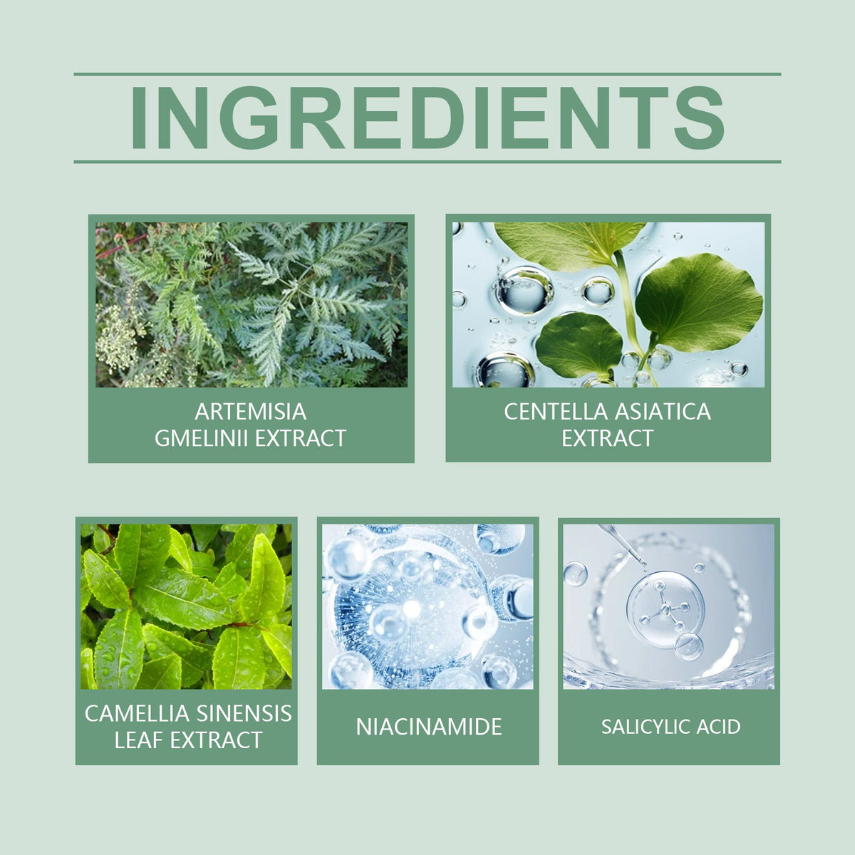 Green Tea Blackhead Facial Cleanser Mask